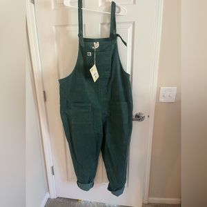 NWT Lucy and Yak Overalls